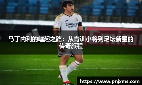 马丁内利的崛起之路：从青训小将到足坛新星的传奇旅程