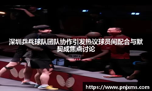 深圳乒乓球队团队协作引发热议球员间配合与默契成焦点讨论