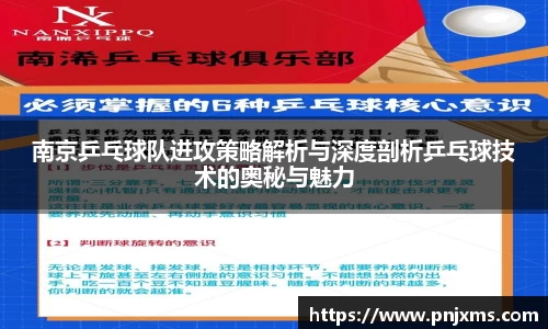 南京乒乓球队进攻策略解析与深度剖析乒乓球技术的奥秘与魅力