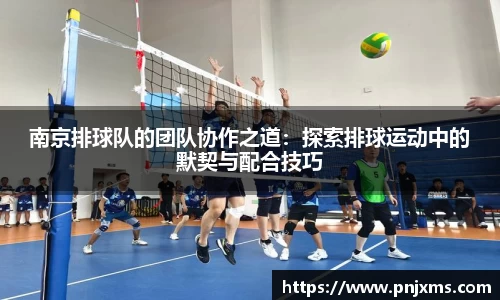 南京排球队的团队协作之道：探索排球运动中的默契与配合技巧